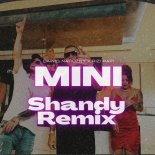 Piękni i Młodzi Dawid Narożny x Rizi Papi - MINI (Ej Lolita) (SHANDY REMIX)