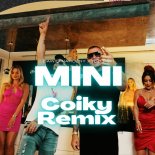 Piękni I Młodzi Dawid Narożny x Rizi Papi - Mini (Ej Lolita) (Coiky Remix)