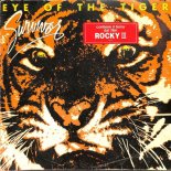 Survivor - Eye Of The Tiger(Melody Disco House Remix)