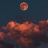 Stoto - I Sleep Better