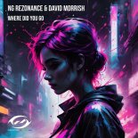 NG Rezonance & David Morrish - Where Did You Go (Radio Edit)