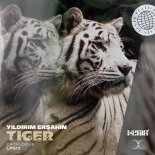 Yıldırım Ersahin - Tiger