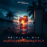 Reivix and Gia - AURINGONNOUSUHUMALA (Extended Mix)