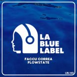 Faccu Correa - No More Parties