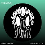 David Phoenix - Critical Error (Original Mix)