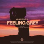 Midnight Purple - Feeling Grey (Axel the Rose Remix)