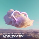 Tribbs, Sam Feldt & Andy Dust - Like You Do (feat. Dotter) (Extended Mix)