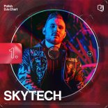 Skytech - Pan Jest Pasterzem Moim (Original Mix)