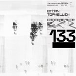 Bjoern Torwellen - Codebreaker (Original Mix)