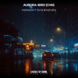 Aurora-bird (CHN) - Midnight in Shenzhen (Radio Edit)