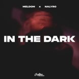 Meldom & NALYRO - In The Dark