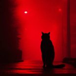 RIHANNO - DARK NIGHT