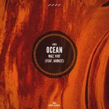 Maz, Viot Feat. Anduze - Ocean (Extended Mix)