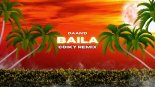 Daan\'D - Baila (COIKY Remix)