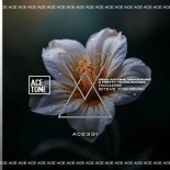 Monokromo, Pretty Young Sounds, Diego Antoine - Paradise (Steve Tosi Remix)
