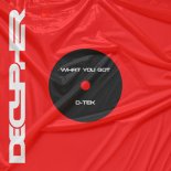 D-Tek - You Got