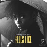 Sputniq, Vinni Chase - Feels Like (Extended Mix)