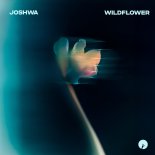 Joshwa - Wildflower (Original Mix)