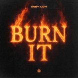 Roby Lion - Burn It