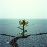 KOKSU - Bez Ciebie (SAD Version)