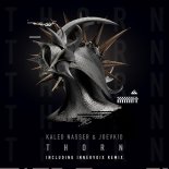 Kaled Nasser & Joevkid - Thorn (Original Mix)