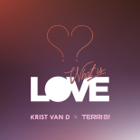Krist van D × Terri B! - What Is Love (Extended Mix)