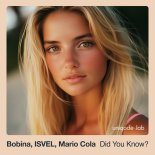 Bobina - Did You Know
