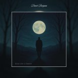 Davit Barqaia - Alone Like a Shadow