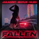 Julacrit, SHYLN & VLXN - Fallen
