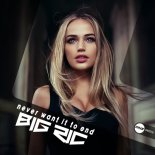 Big RIC - Never Want It To End