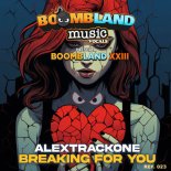 Alex Trackone - Breaking For You