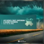 Lost Witness Vs. Fawzy And Winterbom And Susanne Teuteberg - Dust In The Wind