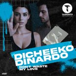 DICHEEKO & DINARDO - Don't Waste My Love (Edit)