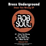 Bress Underground - Steer You Wrong