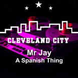 Mr Jay - Spanish Thing (Extended Mix)