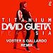 Voster & Gallardo - Titanium (Extended Mix)