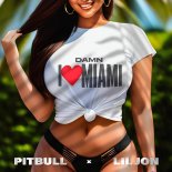 Pitbull x Lil Jon - Damn I Love Miami