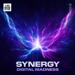 Digital Madness - Synergy (Extended Mix)