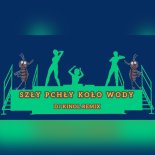 Dj Kinol - Szły Pchły Koło Wody (Dj Kinol Remix)