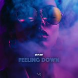Diaro - Feeling Down