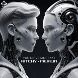 RITCHY & MEIRLIN - You Drive Me Crazy (Extended Mix)