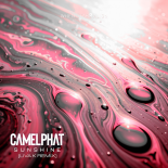 CamelPhat - Sunshine (Liva K Remix Extended)