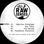 Raw Senses - Impulsus Energigae