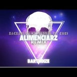 ZACZAROWANY BURDEL FEAT. KUKI - ALIMENCIARZ (BartNoize Remix)