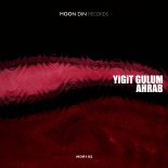 Yigit Gulum - Ahrab (Original Mix)