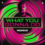 Noxiouz - What You Gonna Do (Extended Mix)