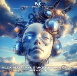 Alex M.O.R.P.H. And Woody Van Eyden Feat. Cari - One Spark