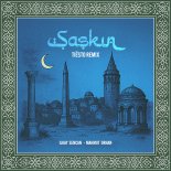 Ilkay Sencan & Mahmut Orhan - Şașkın (Tiësto Remix)