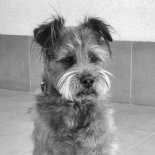 WŁODAR x NEXBOY x DBL - SIĘ WJEŻDŻA (DJ WMB Mash-UP)