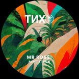 Mr Rossi - Ain t it fun (Extended Mix)